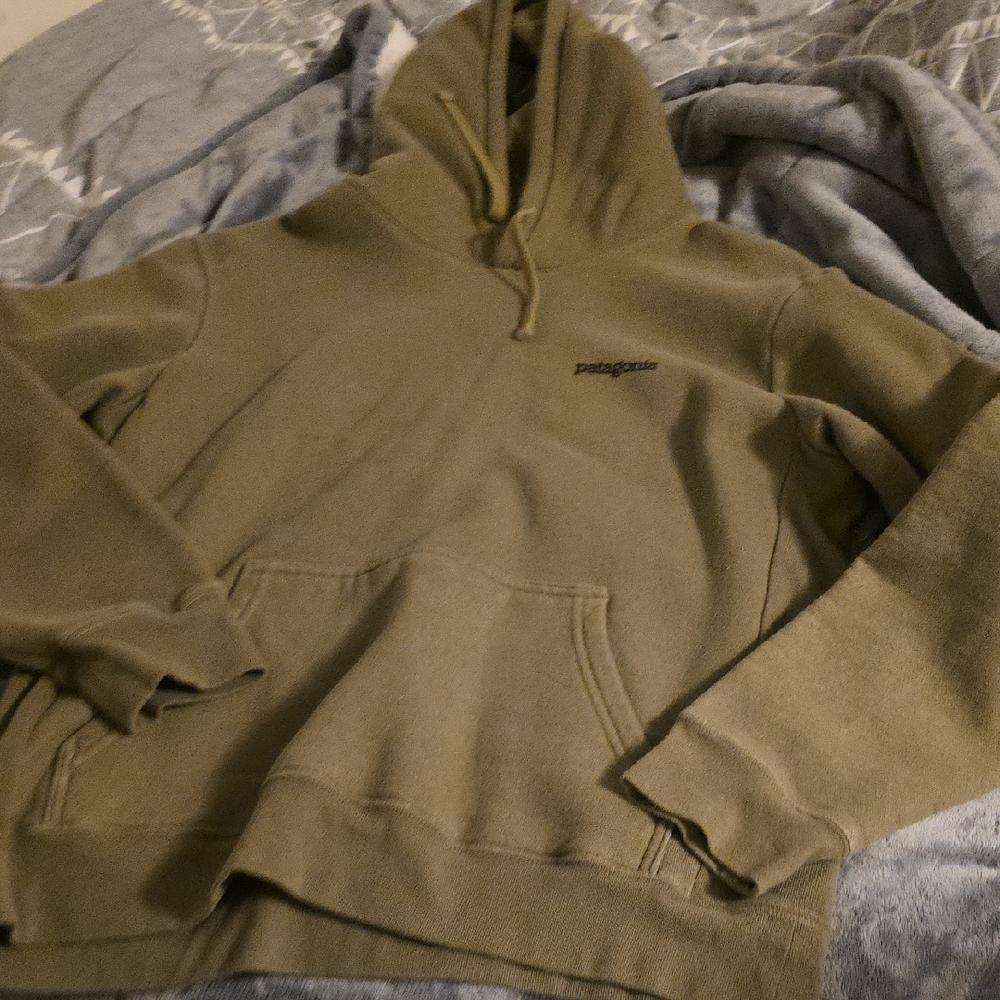 Patagonia Men's Green Hoodie Sweater - Picture 1 of 8